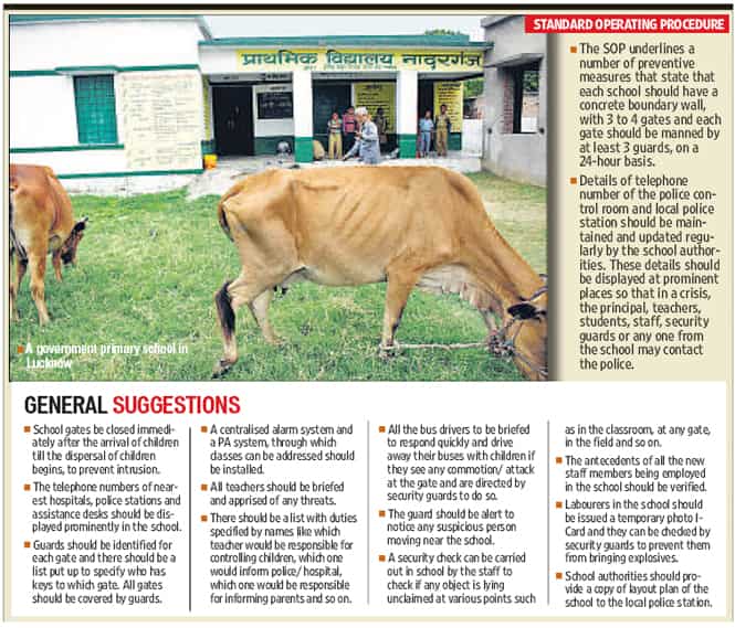 Article image Article image