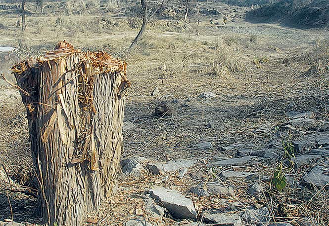 Nothing will change unless environement protection is made independent of the government, say environmentalists (HT photo) Nothing will change unless environement protection is made independent of the government, say environmentalists (HT photo)