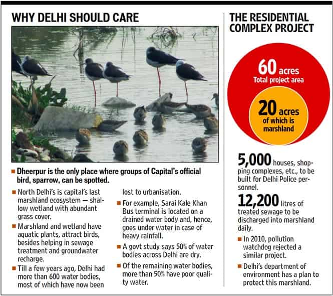 Flats, shopping complexes to destroy Delhi’s last 20-acre marshland ...