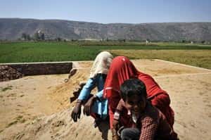 Bride trafficking is a common profession in the interior villages of Haryana. (Subrata Biswas/HT Photo)
</div) Bride trafficking is a common profession in the interior villages of Haryana. (Subrata Biswas/HT Photo)
</div)