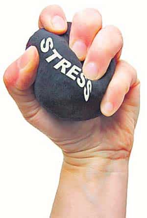 Article image Article image