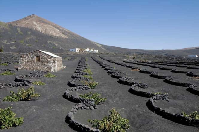 Lanzarote, in the Canary Islands, is home to around 140 volcanoes Lanzarote, in the Canary Islands, is home to around 140 volcanoes