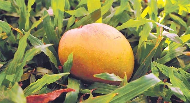 Article image Article image