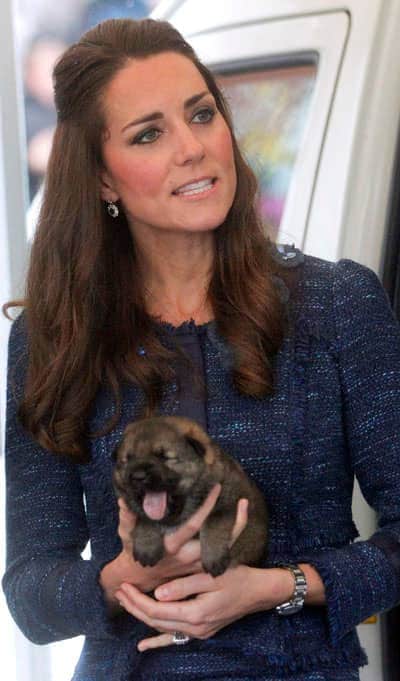 "Do they eat all your shoes?" Kate asked as she held a chewing pup. (Reuters Photo)
</div) "Do they eat all your shoes?" Kate asked as she held a chewing pup. (Reuters Photo)
</div)