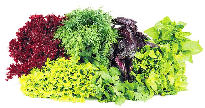 Article image Article image