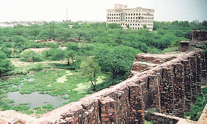 Jahanpanah City Forest. Jahanpanah City Forest.