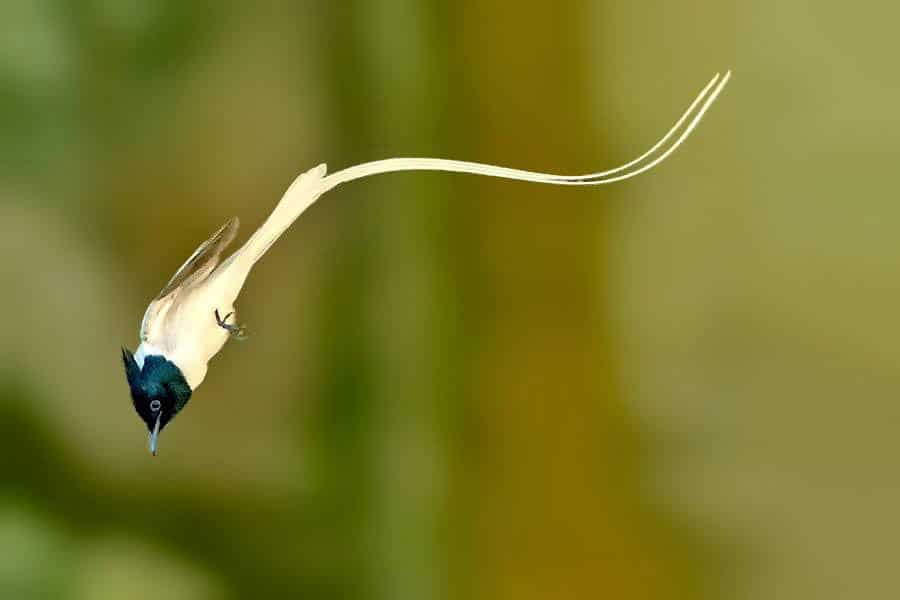 Article image Article image