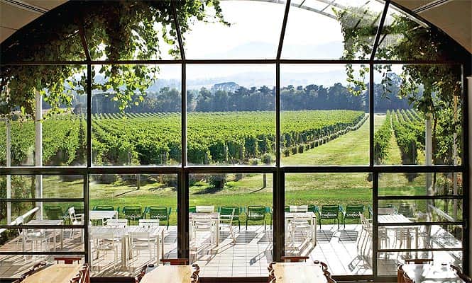 While Domaine Chandon, the Australian outpost of the Moët et Chandon empire, uses champagne grapes, they make a wine that has a character of its own. While Domaine Chandon, the Australian outpost of the Moët et Chandon empire, uses champagne grapes, they make a wine that has a character of its own.