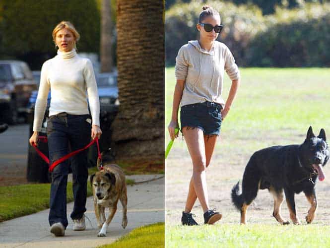 Actor Cameron Diaz (left), and US socialite Nicole Richie with their dogs. (Agencies)</font></strong)