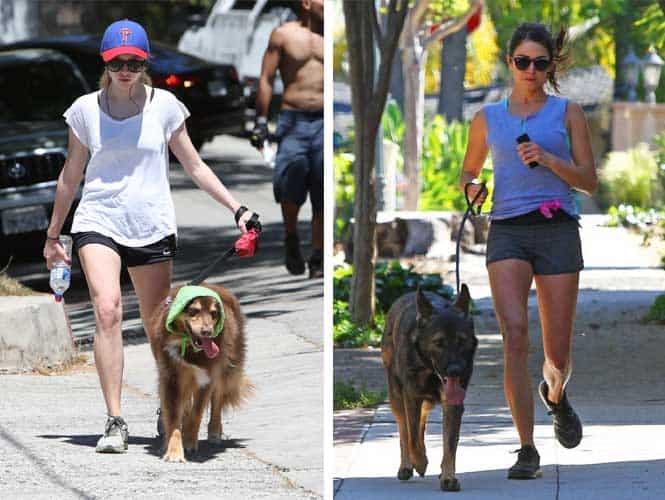 Actors Amanda Seyfried (left), and Nikki Reed work up a sweat on a run with their dogs. (Agencies)</font></strong)