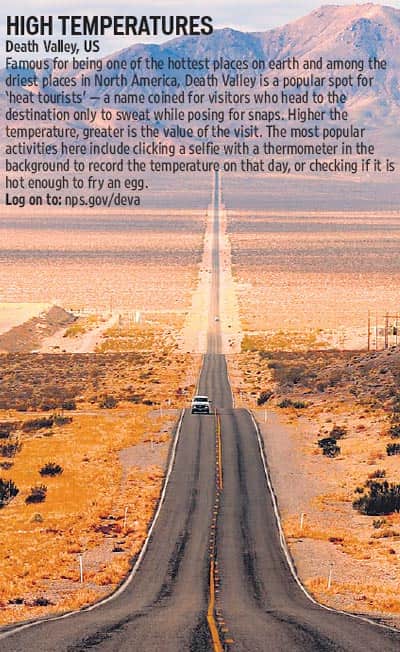 Article image Article image