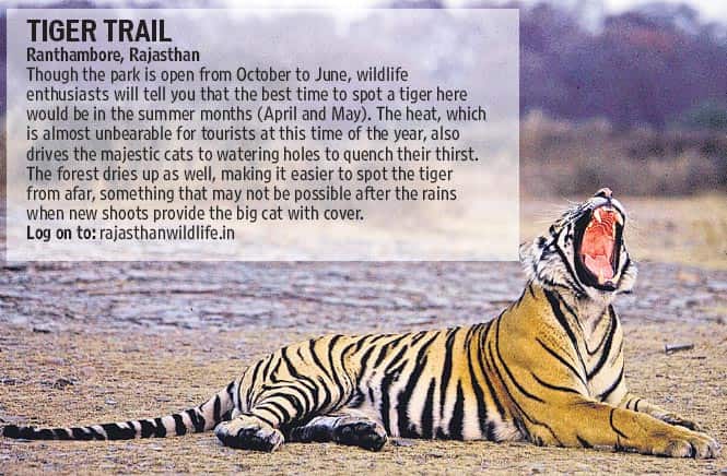 Article image Article image