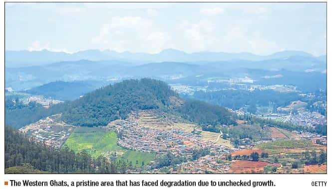 Article image Article image