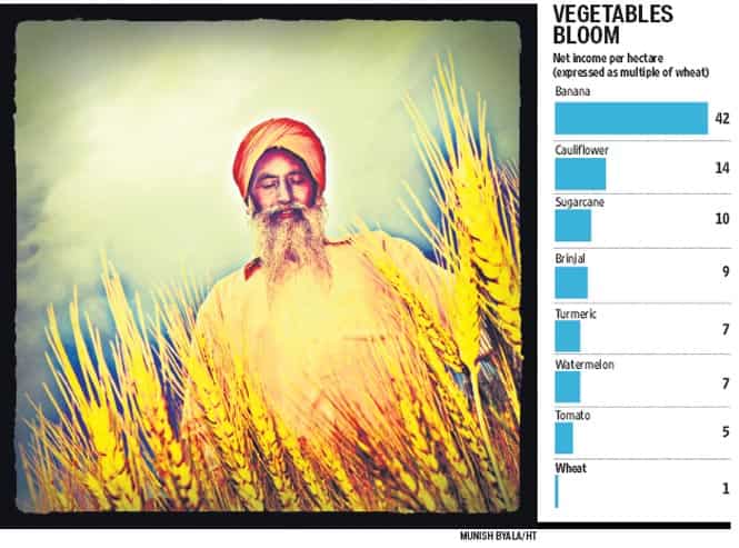 Article image Article image