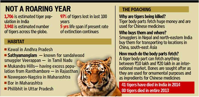 Shrinking green cover escalating tiger-human conflict | Latest News India -  Hindustan Times