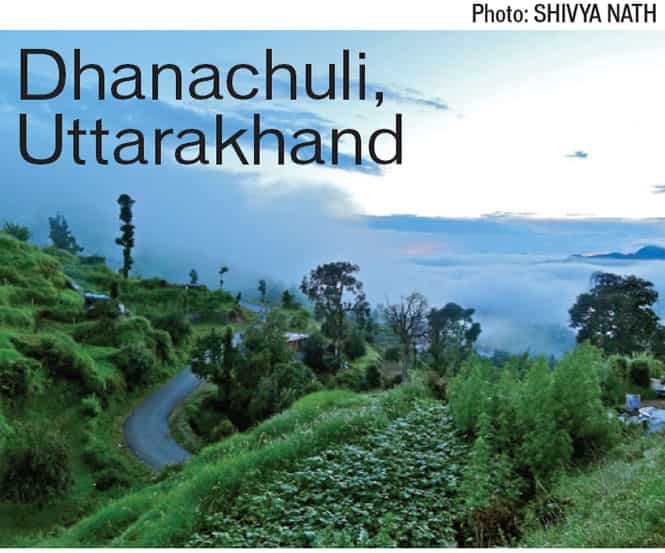 Article image Article image