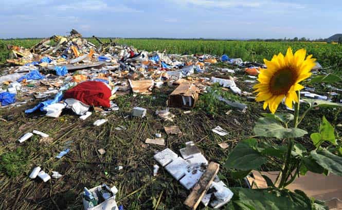 A picture taken on July 19, 2014 shows the wreckage of Malaysia Airlines flight MH17 two days after it crashed in a sunflower field near the village of Rassipnoe, in rebel-held east Ukraine. (AFP photo)</em>
</div) A picture taken on July 19, 2014 shows the wreckage of Malaysia Airlines flight MH17 two days after it crashed in a sunflower field near the village of Rassipnoe, in rebel-held east Ukraine. (AFP photo)</em>
</div)