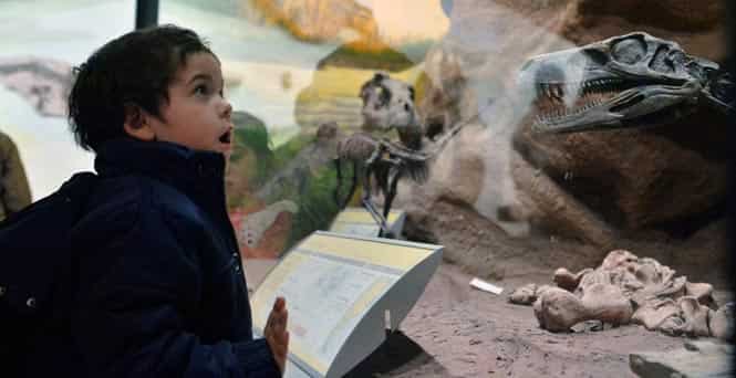 Visitors look at fossils at the Egidio Feruglio Museum in Trelew, in the Argentine Patagonian province of Chubut, some 1,300 km south of Buenos Aires. (AFP Photo)</em) Visitors look at fossils at the Egidio Feruglio Museum in Trelew, in the Argentine Patagonian province of Chubut, some 1,300 km south of Buenos Aires. (AFP Photo)</em)