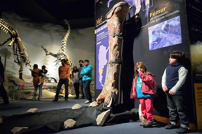 Children stare at fossils of what may be the largest dinosaur ever -- a creature is believed to be a new species of Titanosaur, a long-necked, long-tailed sauropod that walked on four legs and lived some 90 million years ago in the Cretaceous Period, during an exhibition at the Egidio Feruglio Museum in Trelew. (AFP Photo)</em) Children stare at fossils of what may be the largest dinosaur ever -- a creature is believed to be a new species of Titanosaur, a long-necked, long-tailed sauropod that walked on four legs and lived some 90 million years ago in the Cretaceous Period, during an exhibition at the Egidio Feruglio Museum in Trelew. (AFP Photo)</em)