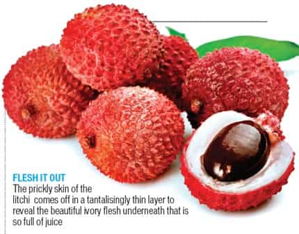 Article image Article image