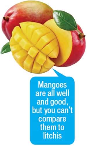 Article image Article image