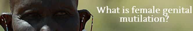 Article image Article image