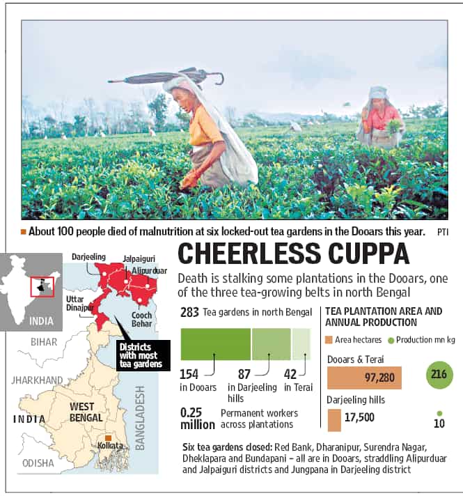 Article image Article image