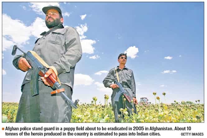 Article image Article image