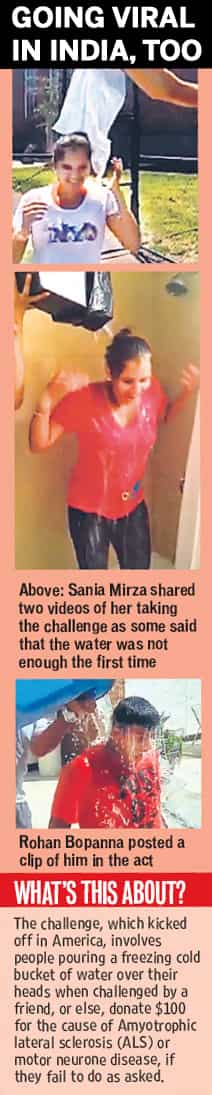 Article image Article image