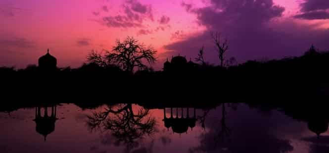 Nature at its best (Credit: Garima Agarwal)
</div) Nature at its best (Credit: Garima Agarwal)
</div)