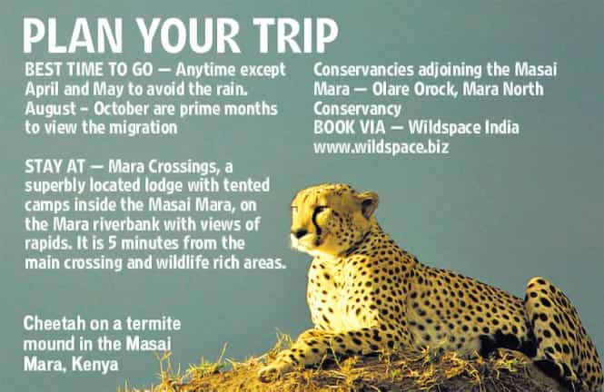 Article image Article image