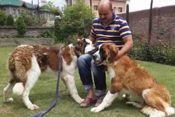 Jammu and Kashmir floods: When dogs, masters came to rescue each other | Latest News India - Hindustan Times Jammu and Kashmir floods: When dogs, masters came to rescue each other | Latest News India - Hindustan Times
