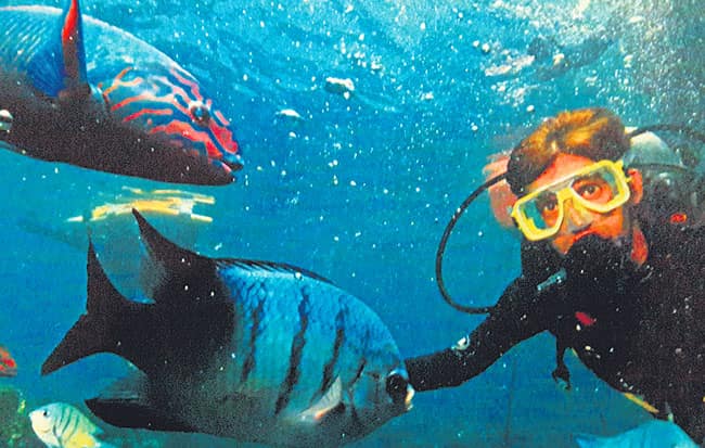 Gautam Bhimani scuba diving and (below) cuddling a Koala bear</em) Gautam Bhimani scuba diving and (below) cuddling a Koala bear</em)