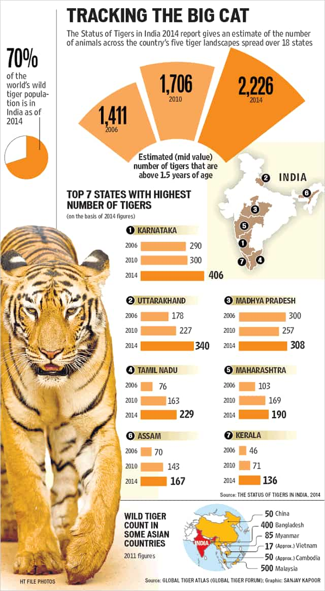 How Many Tigers Are Left In India 2024 Leela Myrlene