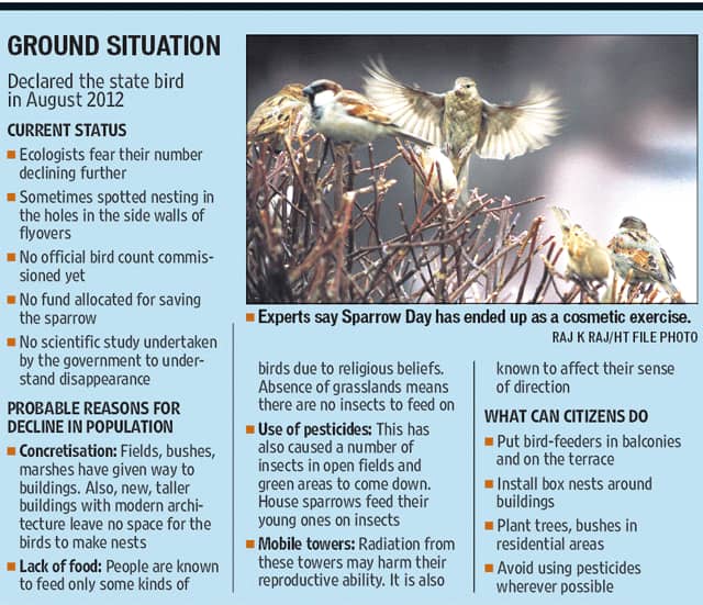 Article image Article image