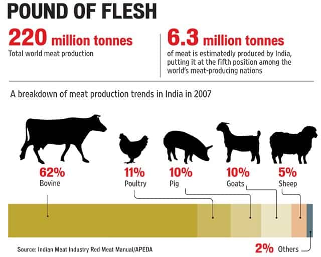 Meat of the matter: How beef ban affects leather, exports and chemical ...