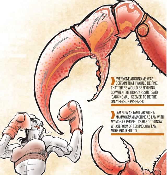 Article image Article image
