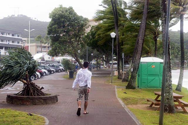 Article image Article image