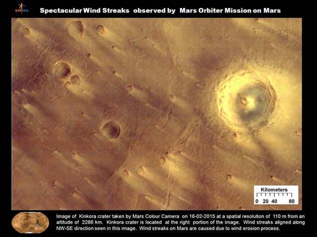 Article image Article image