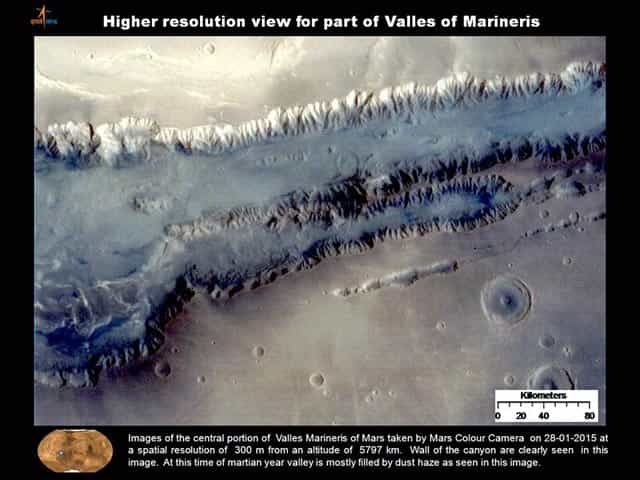Article image Article image