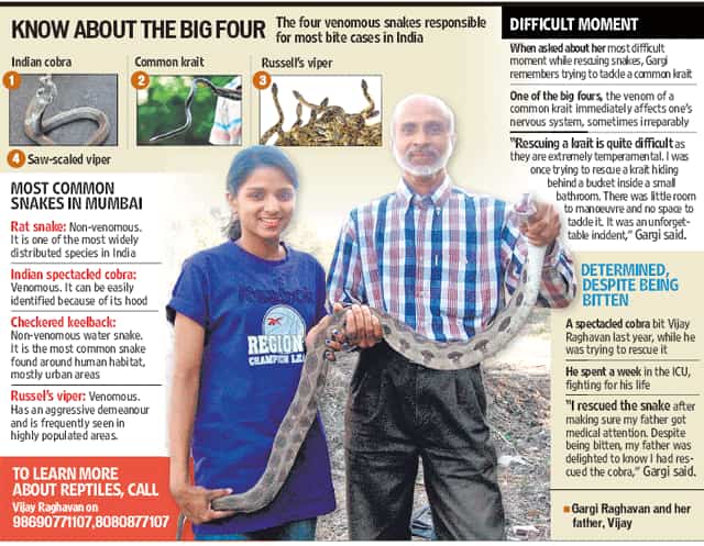 Article image Article image