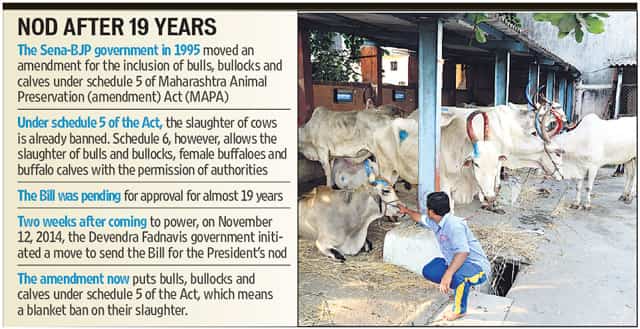 President nod to blanket ban on cow slaughter in Maharashtra | Latest News India - Hindustan Times President nod to blanket ban on cow slaughter in Maharashtra | Latest News India - Hindustan Times