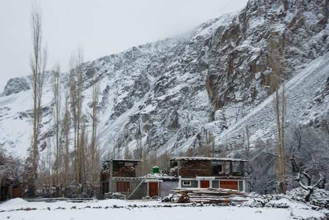 Article image Article image