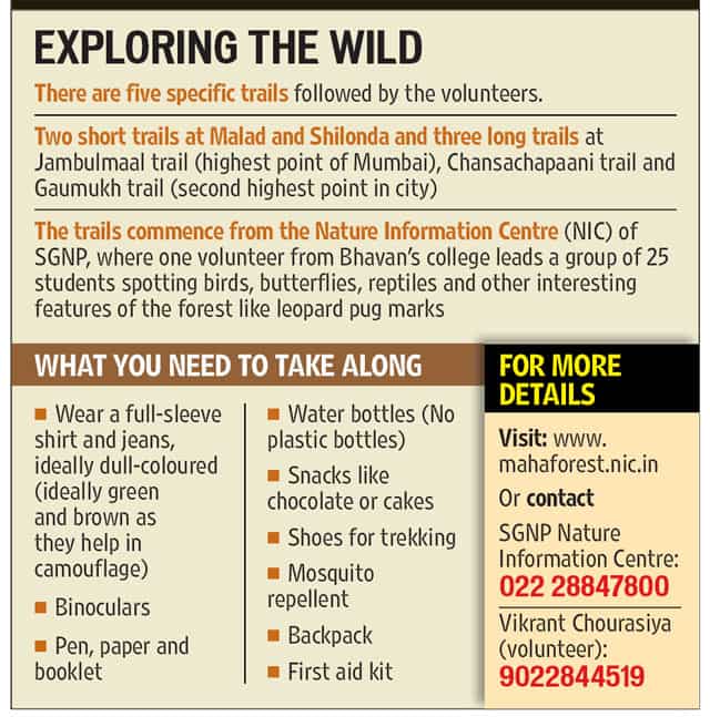 Article image Article image