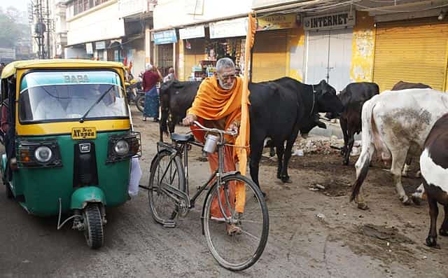 A sadhu pushes his cycle past cows on a street in Varanasi. Varanasi is among the world's oldest cities, and millions of Hindu pilgrims gather annually here for ritual bathing and prayers in the Ganges river. AP Photo A sadhu pushes his cycle past cows on a street in Varanasi. Varanasi is among the world's oldest cities, and millions of Hindu pilgrims gather annually here for ritual bathing and prayers in the Ganges river. AP Photo