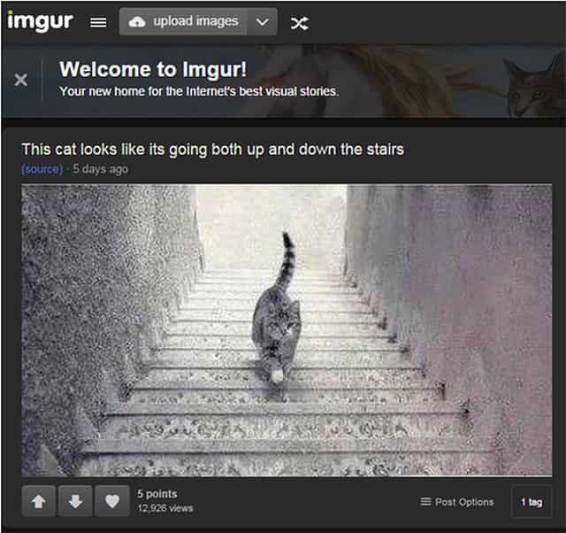 Article image Article image