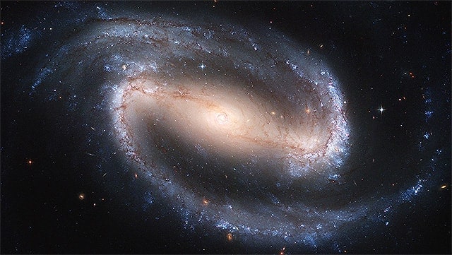 Article image Article image