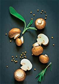 Colour coded: Brown mushrooms are exactly the same as the white ones. In my experience, they have a more pronounced flavour. Colour coded: Brown mushrooms are exactly the same as the white ones. In my experience, they have a more pronounced flavour.