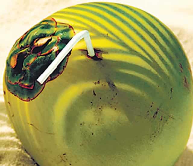 Article image Article image