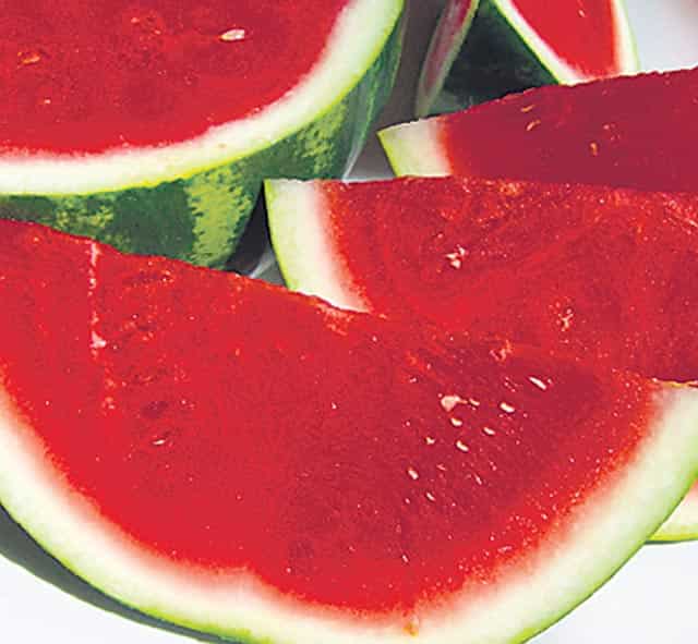 Article image Article image